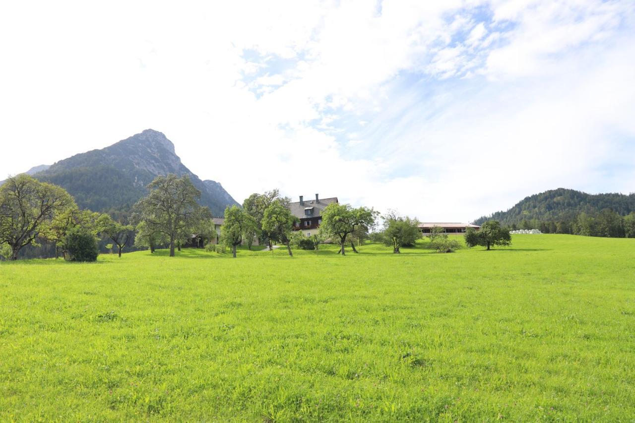Stapflhof Daire Bad Aussee Dış mekan fotoğraf